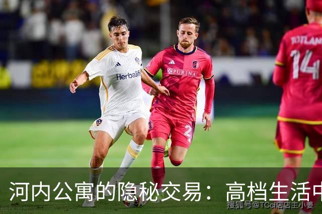河内公寓的隐秘交易：高档生活中的低级秘密