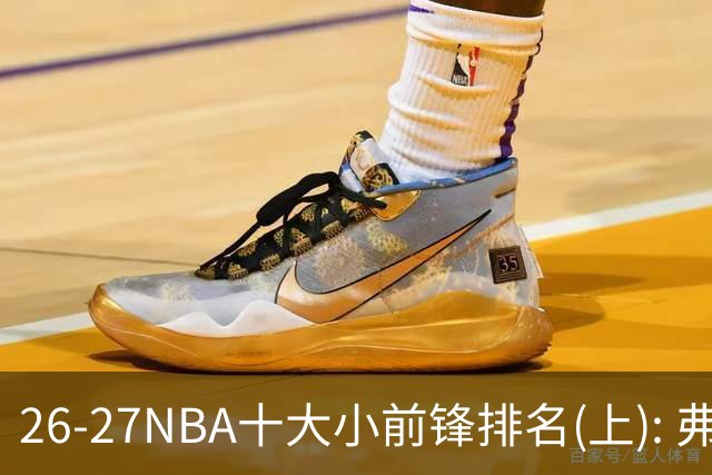 26-27NBA十大小前锋排名(上): 弗拉格跻身超级明星？OG联盟第一3D?【观篮高手】